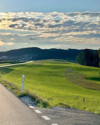 a road in the middle of a green field at sunset