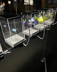 a display of several glass cases with fish in them