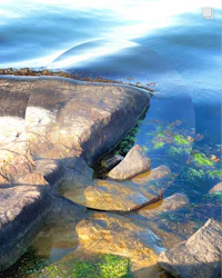 a rock on the shore of a body of water